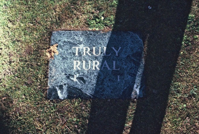 Truly Rural_Knox Church_Art in Dunedin 1984